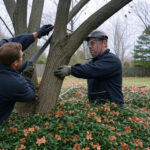 tree pruning